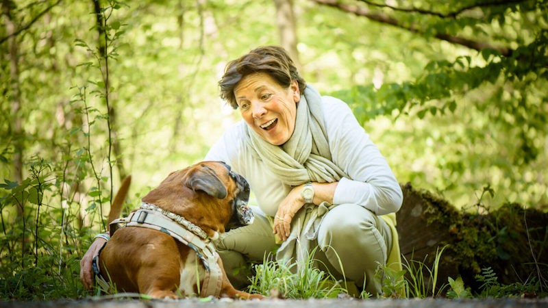 Hundetraining Webinare über Verhalten