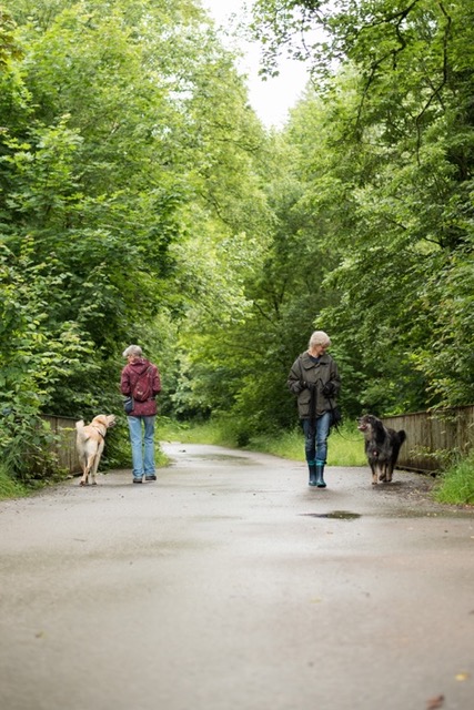 Hundebegegnungen Workshop