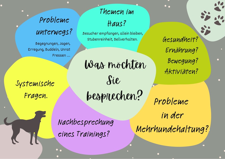 Hundeberatungonline