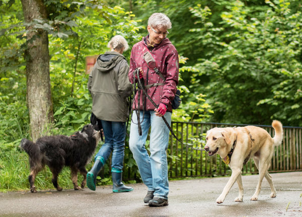 DOGood Begegnungstraining für Trainer 1 Begegnungstraining: Schulung für Hundertrainer