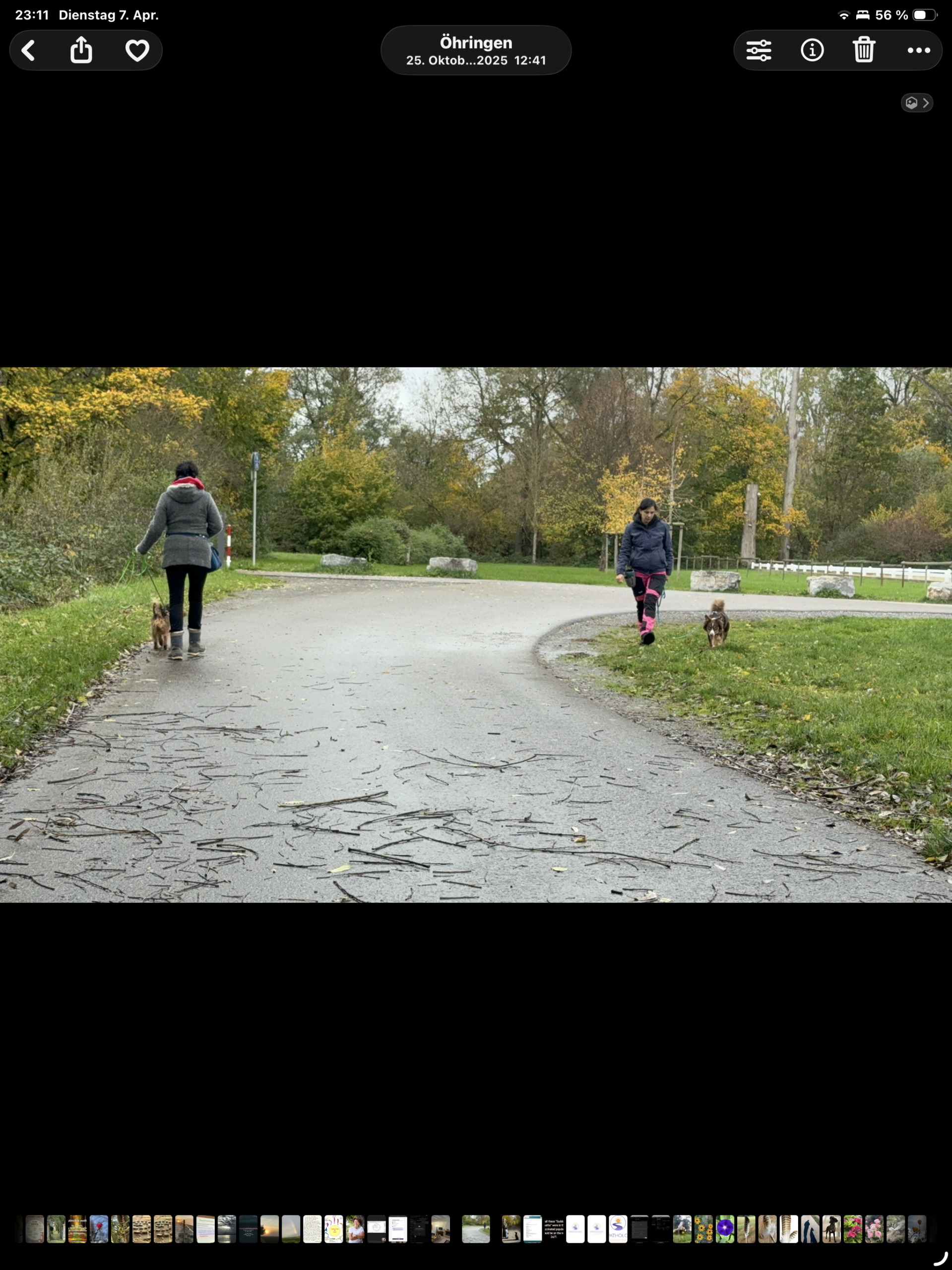 WhatsApp Betreuung1 scaled